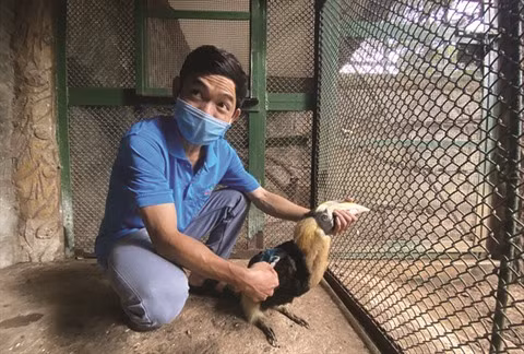 À Thao Câm Viên, les animaux sont aidés pour surmonter la crise du COVID-19 ảnh 1