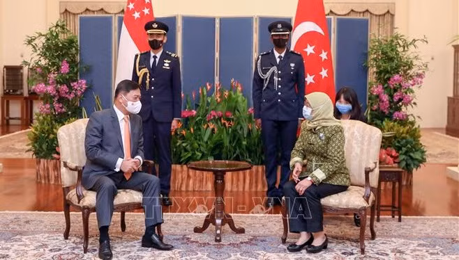 Singapour et le Vietnam renforcent leur coopération ảnh 1
