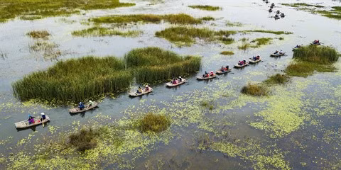 La Réserve naturelle de Vân Long, une "baie sans vagues" à Ninh Binh ảnh 1