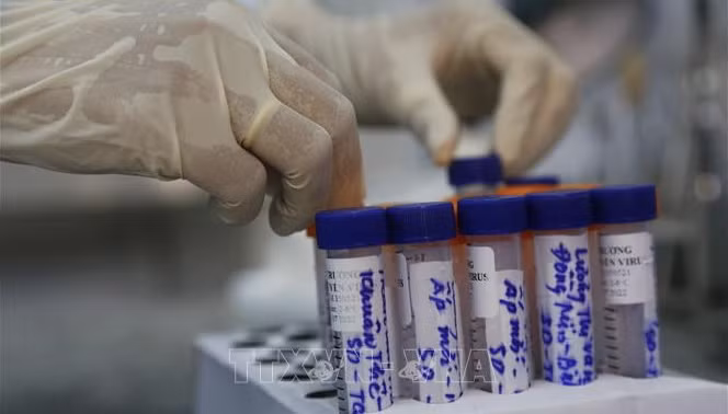 COVID-19 : le total s’établit à 12.231 cas confirmés ảnh 1