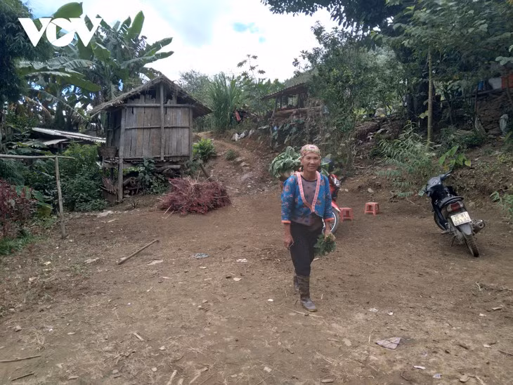 La hotte des Mông ảnh 2