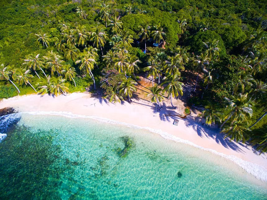 Les huit parcs nationaux les plus impressionnants du Vietnam ảnh 4