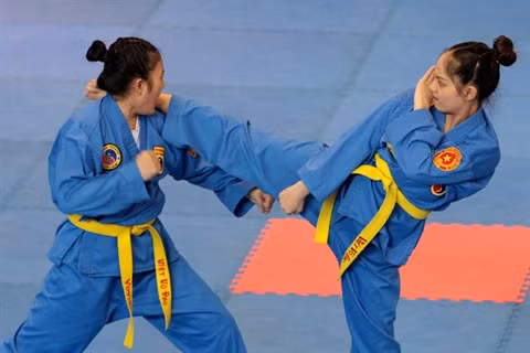 Le Vovinam, un pont d'amitié Vietnam – Inde ảnh 2