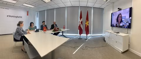 Vietnam et Danemark signent des contrats d’examens géologiques ảnh 1