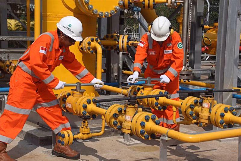 Le Japon et l'Indonésie signent un protocole d'accord sur le commerce de gaz ảnh 1