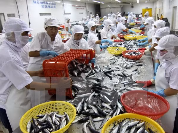 S'orienter vers un développement durable du secteur aquicole ảnh 1