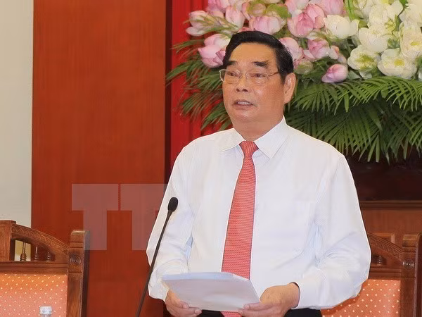 2015, une année de succès pour la diplomatie populaire du Vietnam ảnh 1 2015, une année de succès pour la diplomatie populaire du Vietnam ảnh 1