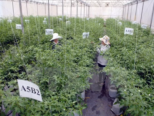 Agriculture : application des technologies pour améliorer la vie des paysans ảnh 1 Agriculture : application des technologies pour améliorer la vie des paysans ảnh 1
