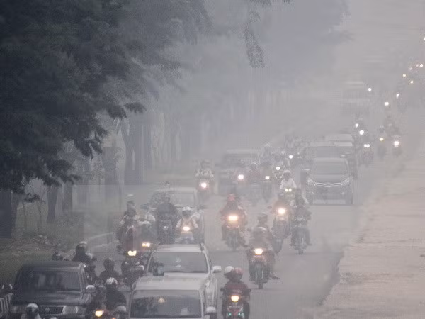 ASEAN: coopération dans la lutte contre les fumées transfrontalières ảnh 1