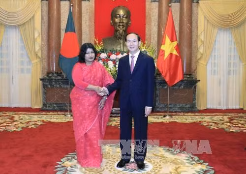 Le président Tran Dai Quang salue de nouveaux ambassadeurs ảnh 2