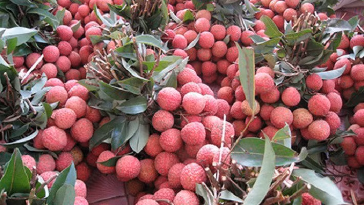 Accélérer l’exportation des fruits vietnamiens vers le marché chinois ảnh 1
