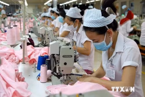 Optimisme du côté des entreprises manufacturières du Vietnam ảnh 1