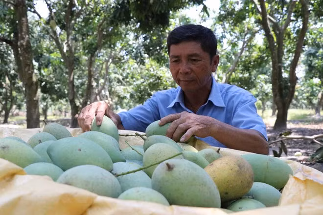 Le Vietnam exhorte les entreprises suisses à investir dans l’agriculture ảnh 1