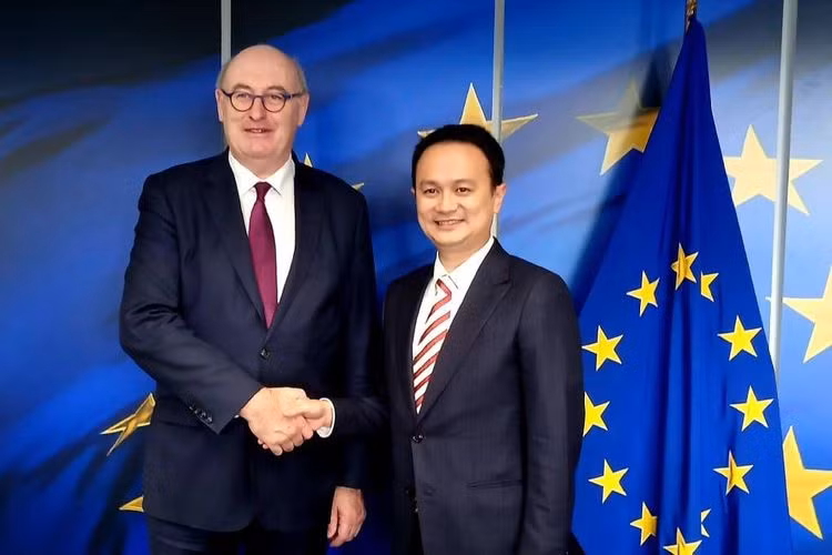 L'Indonésie et l'UE s'efforcent d'achever en 2020 les négociations sur leur accord économique ảnh 1