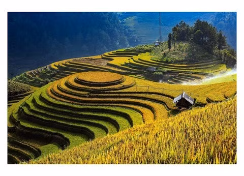 CNBC fait l'éloge de la beauté de Mu Cang Chai ảnh 1