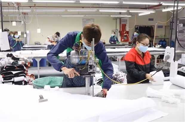 Le Vietnam cherche à profiter de l'EVFTA pour stimuler les exportations vers les Pays-Bas ảnh 1 Le Vietnam cherche à profiter de l'EVFTA pour stimuler les exportations vers les Pays-Bas ảnh 1