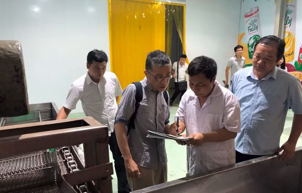 Les premiers lots de litchis vietnamiens exportés au Japon par voie aérienne ảnh 1