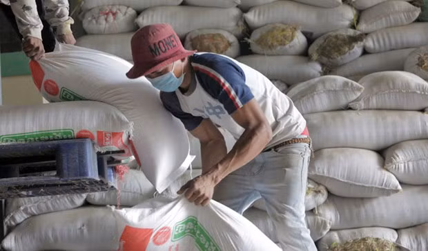 Le Cambodge exporte 7 millions de tonnes de produits agricoles en 2019 ảnh 1
