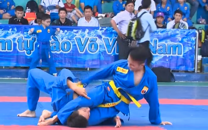 Création de la Fédération de vovinam panarabe ảnh 1 Création de la Fédération de vovinam panarabe ảnh 1