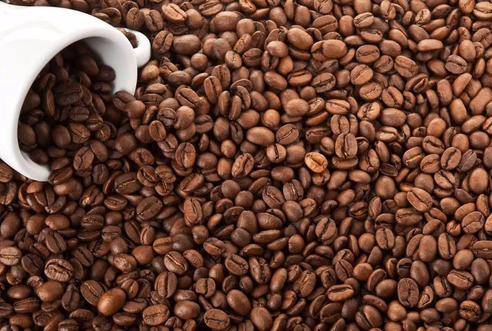 Les exportations nationales de café se portent bien en 11 mois ảnh 1 Les exportations nationales de café se portent bien en 11 mois ảnh 1