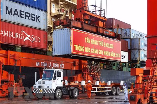 Le port de Quy Nhon accueille la 8 millionième tonne de fret ảnh 1 Le port de Quy Nhon accueille la 8 millionième tonne de fret ảnh 1