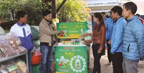KORA, la start-up qui mise sur les plantes sauvages ảnh 2