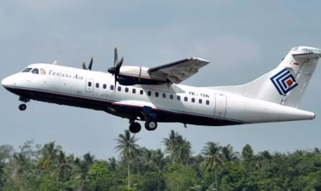 Indonésie : l'épave de l'avion disparu retrouvée dans les montagnes de Papouasie ảnh 1