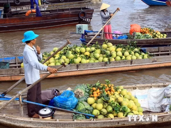 Commerce : le delta du Mékong vise le marché russe ảnh 1