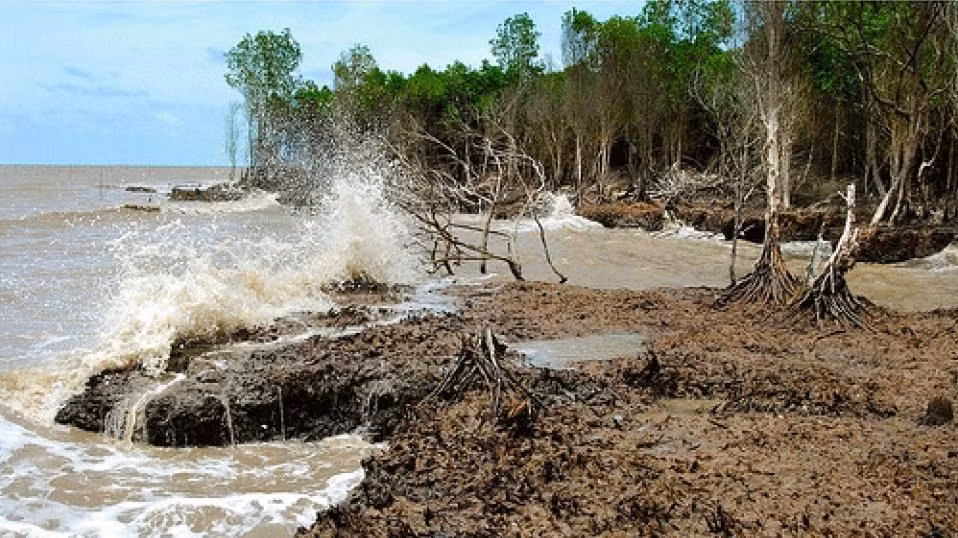 L’intrusion saline s’accentuera en mars dans le delta du Mékong ảnh 1
