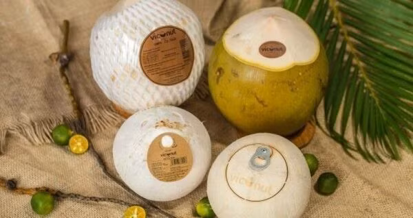 Les exportations de produits à base de noix de coco rapportent gros ảnh 1 Les exportations de produits à base de noix de coco rapportent gros ảnh 1