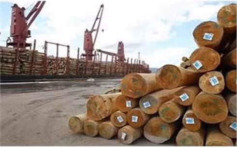  Doper les exportations du bois en 2018 ảnh 1