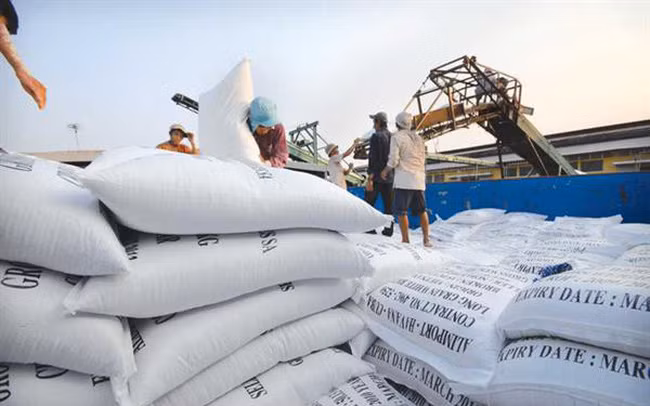 Forte hausse des exportations de riz en janvier ảnh 1