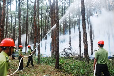 Dak Nong met l'accent sur la prévention des incendies à la saison sèche ảnh 1