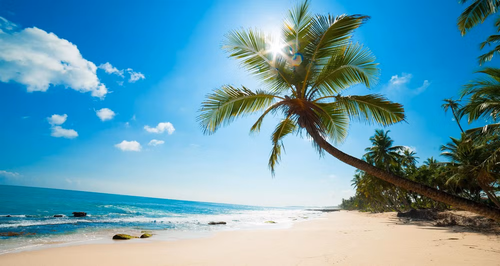 Tourisme : Phu Quoc table sur 1,8 millions de touristes en 2017 ảnh 1 Tourisme : Phu Quoc table sur 1,8 millions de touristes en 2017 ảnh 1