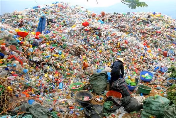 Surveillance des déchets marins et de la pollution plastique dans les zones côtières ảnh 1