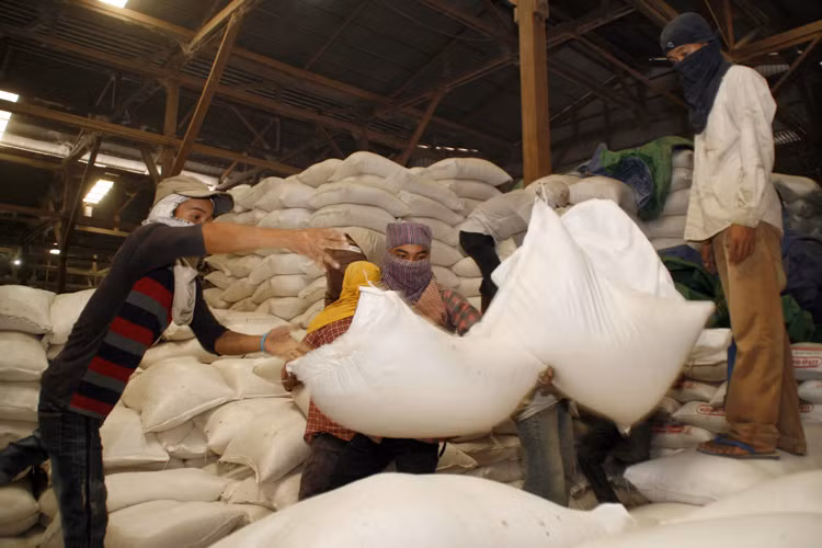 Le Cambodge atteindra bientôt son objectif d'exporter un million de tonnes de riz l'après-COVID-19 ảnh 1