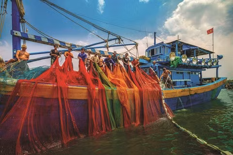 Photographes vietnamiennes, un itinéraire difficile pour un rêve à portée de main ảnh 3