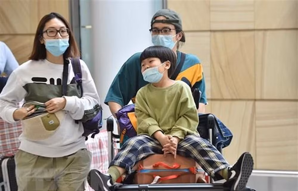 Des mesures pour aider les voyagistes à faire face à l’épidémie de nouveau coronavirus ảnh 1 Des mesures pour aider les voyagistes à faire face à l’épidémie de nouveau coronavirus ảnh 1