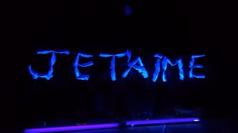 Handmime, un bel art de lumière et des gestes ảnh 2