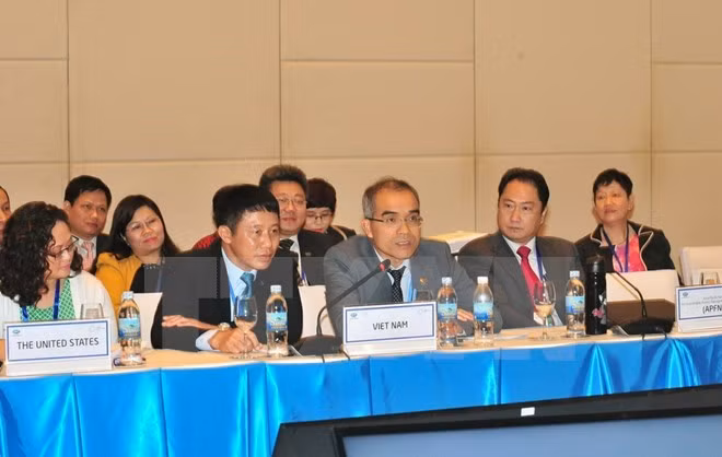 APEC 2017 : le groupe d’experts sur l’exploitation forestière illégale se réunit ảnh 1 APEC 2017 : le groupe d’experts sur l’exploitation forestière illégale se réunit ảnh 1