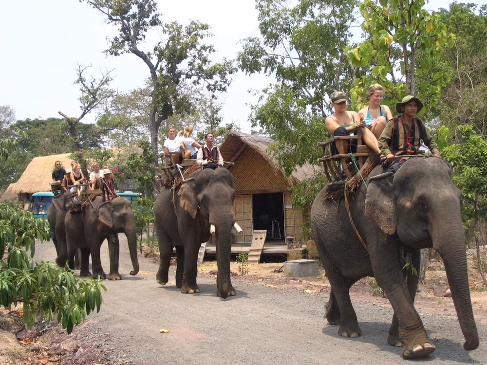 Dak Lak accueille plus de 110.000 touristes pour le Têt du Coq ảnh 1 Dak Lak accueille plus de 110.000 touristes pour le Têt du Coq ảnh 1
