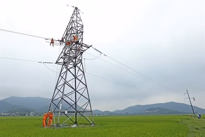 Des progrès notables dans l'électrification des zones rurales ảnh 1