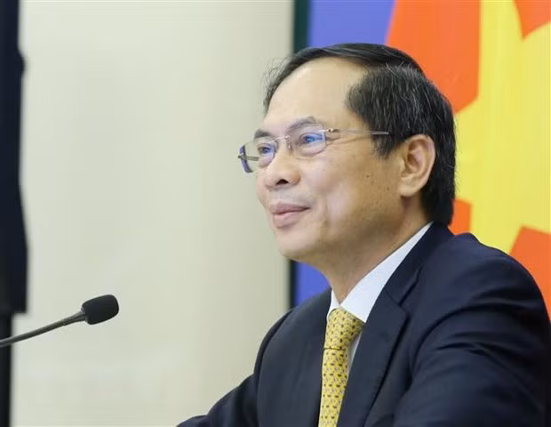 Le ministre des Affaires étrangères Bui Thanh Son rencontre son homologue britannique ảnh 1