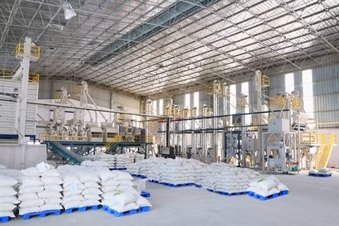 Carnets de commandes remplis, les entreprises mettent les bouchées doubles ảnh 1