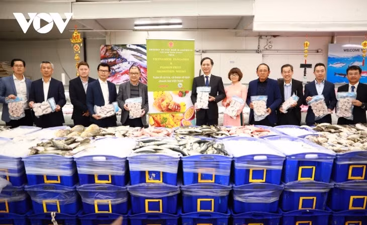 Les pangasius vietnamiens font un carton en Australie ảnh 1 Les pangasius vietnamiens font un carton en Australie ảnh 1