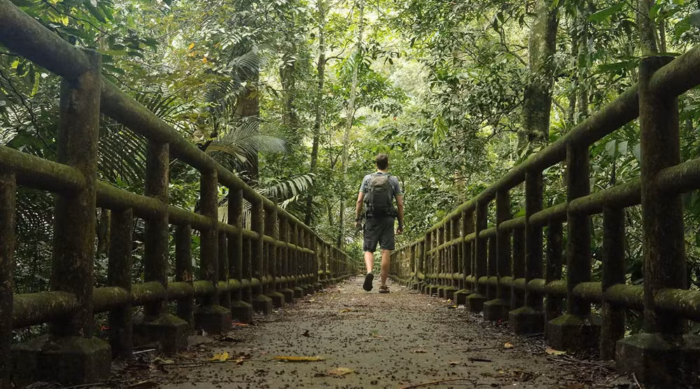 Le parc national de Cuc Phuong à l’honneur lors des Asia Pacific Tourism Awards ảnh 1