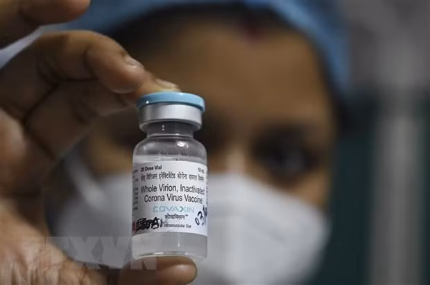 COVID-19 : Approbation conditionnelle du vaccin Covaxin ảnh 1 COVID-19 : Approbation conditionnelle du vaccin Covaxin ảnh 1