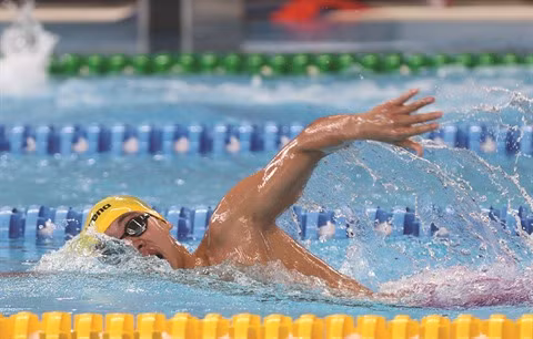 La natation vietnamienne vise l'or aux ASIAD 19 ảnh 2 La natation vietnamienne vise l'or aux ASIAD 19 ảnh 2