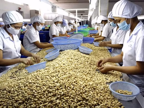 Dong Nai : chiffre d’affaires à l’export de 4,3 milliards de dollars au premier trimestre ảnh 1 Dong Nai : chiffre d’affaires à l’export de 4,3 milliards de dollars au premier trimestre ảnh 1