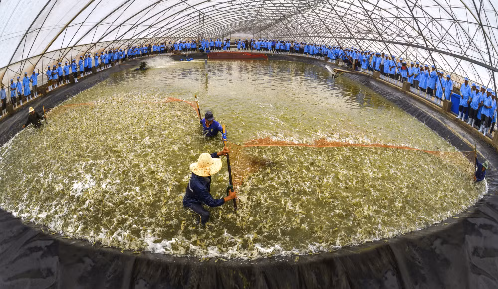 Le 3e Forum agricole Vietnam-Australie ảnh 1